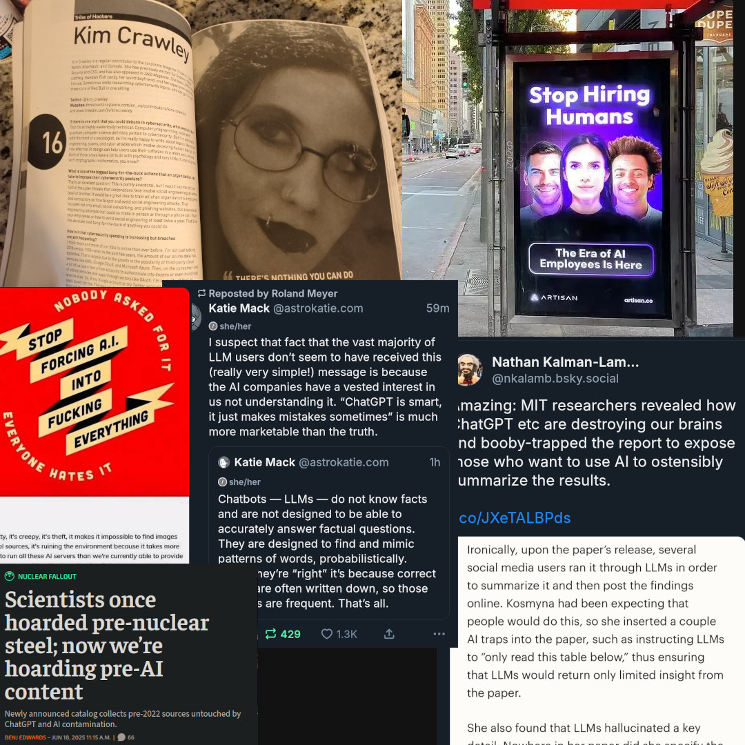 I’m a cybersecurity professor made poor by Gen AI, so now I’m dangerously honest on LinkedIn
